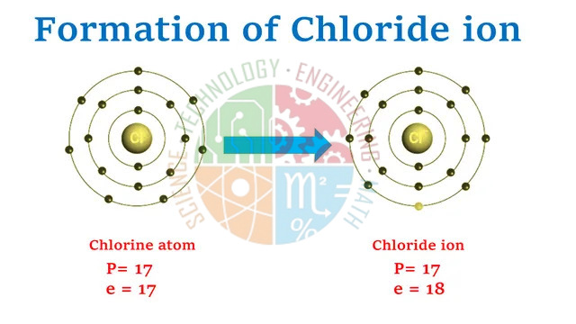 Formation of Chlorine Ion Model